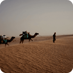 Fiqih Haji dan Umroh (Bagian II)