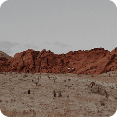 Fiqih Jual Beli Online